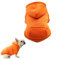 XiXiRan Hunde Hoodie Baumwolle, Hundemantel, Haustier Hund Warm, Mit Kapuze Hund Pullover Haustier Kleidung Hund Katze Kleidung, Hundekleidung Winter (S, Orange)
