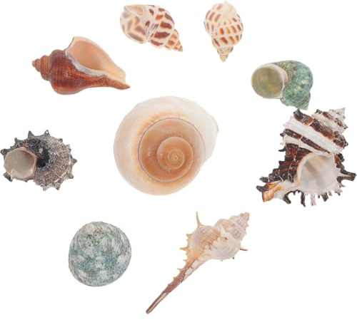 Gatuida Lot de 9 Décorations en Coquilles Naturelles pour Bernard-l'hermite, Ornement Aquarium Paysager, Conques Percées pour Aquarium et Bassin, Décoration D'escargots de Style Aléatoire