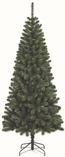 FLORA SRL Albero Ecologico Kenya 210