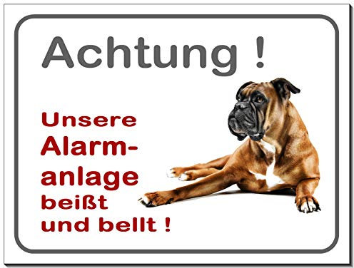 Boxer-Schild-3 Größen-Aluminium Verbund-Hund-Tierschild-Warnschild-Hinweisschild (1450-45 -20 x 15 cm mit Löcher)