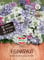 Sperli Eisenkrautsamen Duftmix 87328 - robuster & blühfreudiger Duft-Mix - Inhalt für 15 Pflanzen - Kübelgeeignet - Blumensamen, Blumenwiese Samen, Saatgut