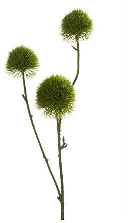 artplants.de Kunstzweig Edeldistel Branco, grün, 60cm - Deko Eryngium