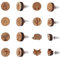 SUNNYCLUE 1 Box 8 Paar Holz Ohrstecker Set Flache Runde Natürliche Holz Charms Cabochon Baumblatt Sonnenblume Fuchs Mit Ohrmuttern Aus Edelstahl Für Damen Schmuckzubehör