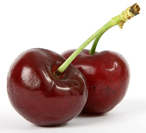 Prunus Avium Wild Cherry Tree 10 Seeds Attractive Native Tree with Beautiful Clouds of Blossom in Spring