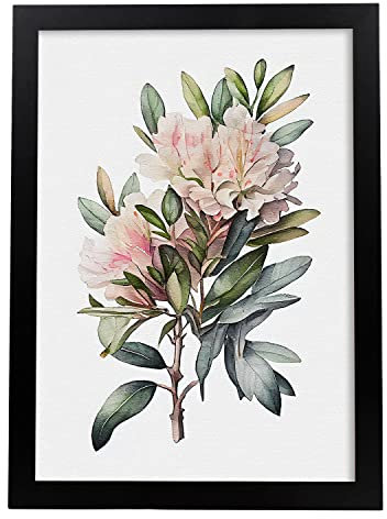 Nacnic Rhododendron 2 Poster im nordischen Stil. Botanik Illustrationen mit Blumen und Pflanzen im Wasserfarbe. Innenarchitektur und Dekoration. A4 schwarzen Rahmen.