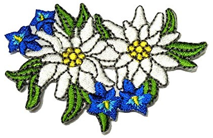 2 Aufnäher Bügelbild Aufbügler Iron on Patches Applikation Edelweiss 6,5 x 4,5cm vor209-5