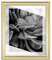 BIRAPA Bergamo Bilderrahmen Gold Schlicht- Optik - Bilder Rahmen 45x55cm - Fotorahmen Glas antireflex Plexiglasscheibe - Wanddeko Fotowand Fotogeschenke