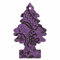 Little Trees Air Freshener Tree MTR0075B Midnight Chic Fragrance For Car Home Boat Caravan - 24 Pack