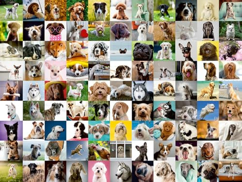 Ravensburger 16939 Puzzle mit 99 liebenswerten Hunden, 750 Teile, für Erwachsene und Kinder ab 12 Jahren, Mehrfarbig, 80 x 60 x 0,2 cm