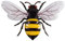 CIM Metall Wand-Deko - MINI BEE 17cm - tierische 3D Wandbilder - Wandschmuck inkl. praktischer Wandbefestigung - lebhafte Wandskulptur