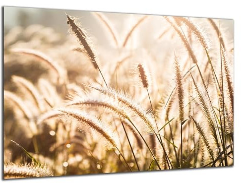 Munera Design - Bild 56x84 - Boho-Stil Nahaufnahme Natur Wiese - Wand-Bilder Wohnzimmer