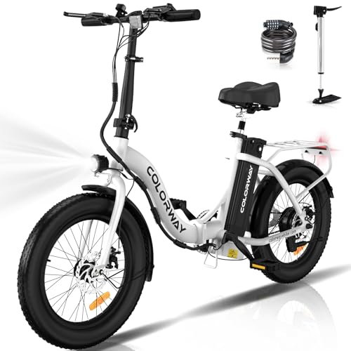 COLORWAY BK6G Vélo Électrique Pliable,20 Pouces Vélo Électrique Portable,250W 36V 12Ah Batterie，EBike avec 2 Modes de Conduite, Pédalage Assisté, Hauteur Réglable, Portable Compact, Adulte Unisexe