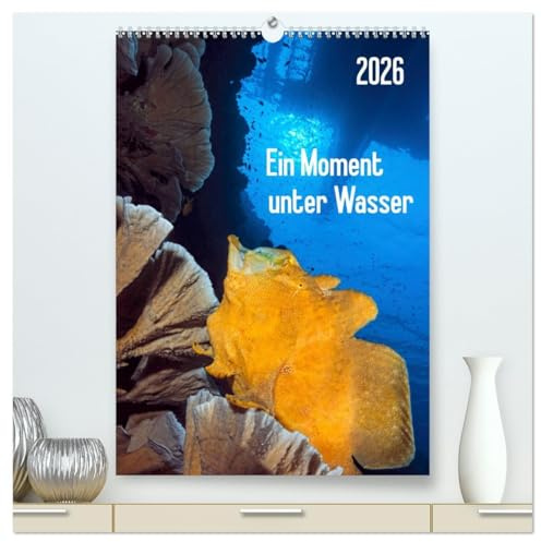 Ein Moment unter Wasser (hochwertiger Premium Wandkalender 2026 DIN A2 hoch), Kunstdruck in Hochglanz: Wunderschöne, skurrile Unterwasserlandschaften ... Tierwelt warten auf Sie! (CALVENDO Natur)