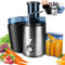 Extracteur de jus de fruits et légumes 1000 W en acier inoxydable, capacité de 500 ml, 2 vitesses réglables