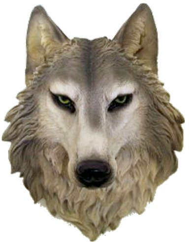 Remus Wandstatue mit grauem Wolfskopf, 40,6 cm