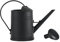 Tiuimk Arrosoir de jardin vintage noir 2 L, long bec, durable et respectueux de l'environnement