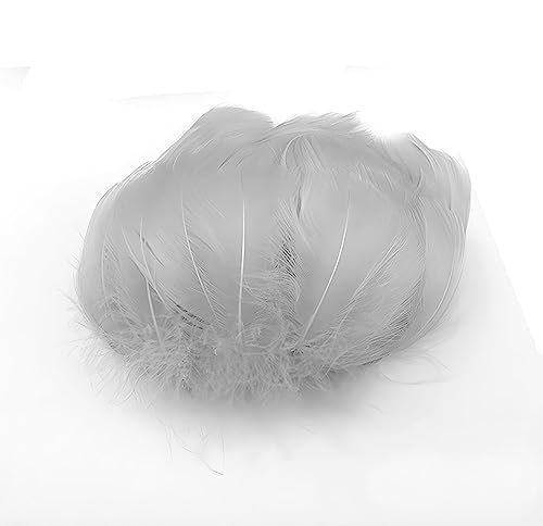 Gänsefedern Hellsilber/Grau 7-12cm - 100 Stück (5g) - Hochwertige, Flauschige & Natürliche Federn für Basteln, Dekoration, DIY Projekte, Traumfänger, Schmuckherstellung & Mehr