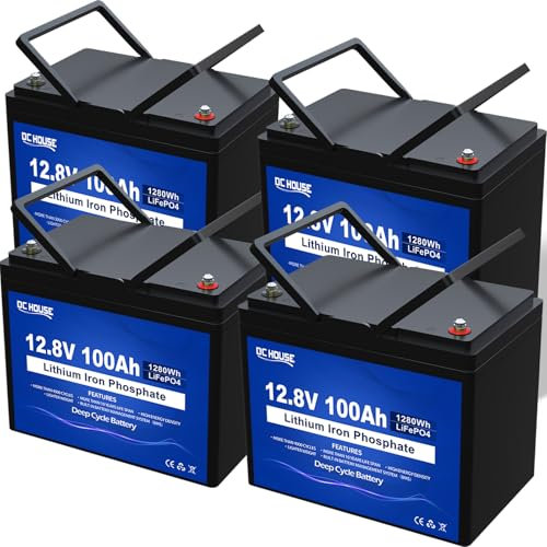 DCHOUSE Batteria al litio da 48V, 100Ah, batteria LiFeO4 da 5,12 KWH, batteria al litio da golf da 15000 + 48 V, perfetta per carrello da golf, camper, motore da traina, campeggio