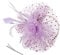 DRESHOW Fascinators Hat Flower Mesh Ribbons Feathers on a Headband and a Forked Clip Cocktail Tea Party Headwear for Girls and Women