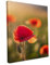 Keilrahmen bedruckt, Wandbild auf Künstler Leinwand, matter Kunstdruck, Stabiler Holzrahmen mit kratzfestem 280g Canvas bespannt, Motive zum Thema Natur (60x90cm - Mohnblumen)