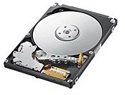 SAMSUNG EcoGreen HM320HJ 320GB Serial ATA II Hard Drive - Hard Drives (320GB, Serial ATA II, 7200rpm, 16MB, 11ms, 4s)