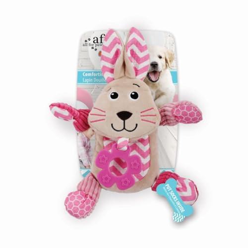 ALL FOR PAWS AFP4203 Hundespielzeug mit Dental Little Buddy Kaninchen, Multi
