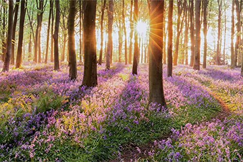 Muralo Fabulous Non-Woven Photo Wallpaper 450 x 300 cm Forest Flowers Nature 3D Modern Wallpaper Living Room Bedroom Wall Pictures XXL Luxury Abstract Width 450 cm x Height 300 cm
