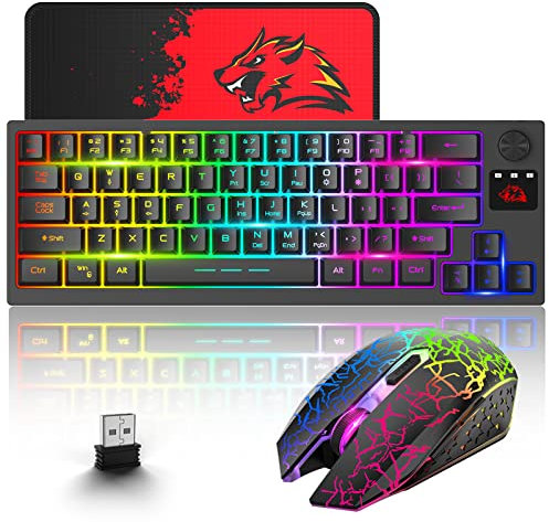 ZIYOU LANG Wireless Keyboard and Mouse Combo, 2.4 GHz Wireless with USB-Receiver, Portable Mute Mouse, Multimedia Keys, Long Battery Life, PC/Laptop, Rechargeable RGB LED Backlit Keyboard - Black