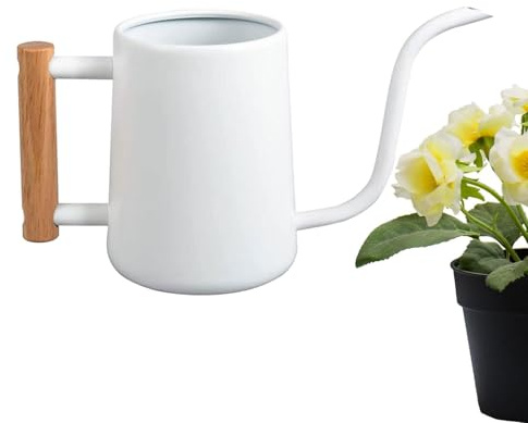 Gießkanne Zimmerpflanzen, 1000 Ml Metall-Edelstahl-Gießkanne Mit Langem Auslauf Holzgriff, Indoor Blumengießkanne, Pflanzenbewässerungsgeräte Für Zimmerpflanzen, Bonsai, Garten, Dekorativ, Weiß