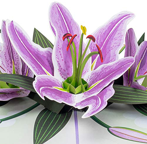 Paper Love Mother's Day Pop Up Card, 3D Purple Lilies, Gift for Mothers Day, Birthday, Wedding, Anniversary, Thank You, Get Well, All Occasion - 5 x 7 Cover - Includes Envelope and Note Tag