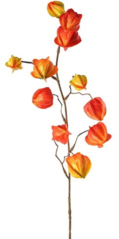 artplants.de Ramo Artificiale di Physalis PERSEI con Frutti, Arancione, 80cm - Ramo Finto