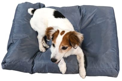 bananair - Hundebett Weich & Bequem - Wasserabweisender Stoff, Leicht zu Reinigen - XXL Hundekissen/Hundekorb/Dog Bed für Kleine & Große Hunde, Verschiedene Größen/Farben (75 x 50 x 10 cm, Grau)