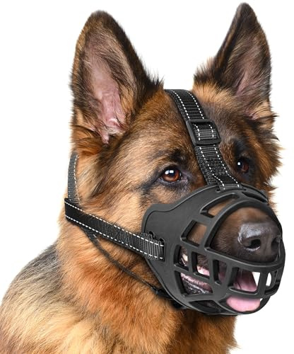 EcoEarth Hundemaulkorb - Langlebiger Korbmaulkorb für mittelgroße Hunde - Mittel, Schwarz - Verstellbarer und atmungsaktiver Mundschutz, um Beißen und Bellen zu verhindern