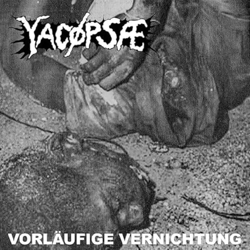 Vorläufige Vernichtung [Vinyl LP]
