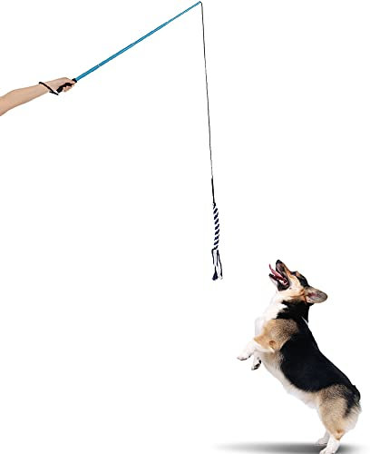Kavolet Interaktive Hundespielzeug Hunde, Ausziehbare Hundewelpen Teaser Pole Hundeangel Pole Kauspielzeug Interactive Haustier Flirt Pole Training Exercise Seil Spielzeug (Größe L)