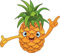 U24 Aufkleber Lustige Ananas 22 x 20 cm Autoaufkleber Sticker Konturschnitt