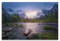 BINKAIYI Wandbild, Naturposter, Urwald, Naturlandschaft, Poster, dekorative Malerei, Leinwand, Wandposter und Kunstdruck, moderne Familienschlafzimmer-Dekoration, Poster, 20 x 30 cm