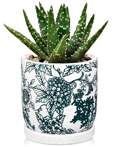 Hollyone Pot de fleurs en céramique vert jade de 14 cm avec soucoupe et trou de drainage, pot de fleurs décoratif avec vernis craquelé, poterie de fleurs pour plantes grasses, orchidées, cactus