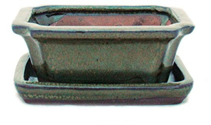 exotenherz - Bonsai-Schale mit Unterteller Gr. 1 - Oliv-Braun - eckig - Model G13-12cm - B 9,5cm - H 4,5 cm