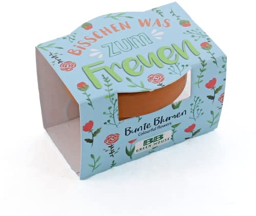 Bull & Bear Mini-Pflanzset `Bisschen was zum Freuen´, Blumensamen im Topf 4,5cm, Bunte Blumen als Anzuchtset mit Pflegeanleitung