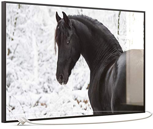 STEINFELD Heizsysteme® Glas Bild Infrarotheizung mit Thermostat | Made in Germany | viele Motive 350-1200 Watt Rahmen schwarz (600 Watt, 060 Schwarzes Pferd)