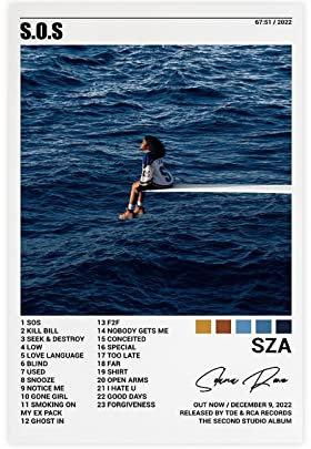 FABIVA Sza Poster Sza Sos Album Cover Poster Leinwand Poster Wandkunst Dekor Druck Bild Gemälde für Wohnzimmer Schlafzimmer Dekoration Rahmen Stil 40 x 60 cm