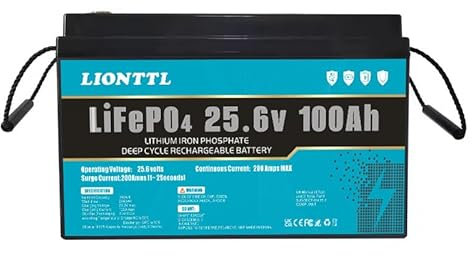 Batteria LiFePO4 24 V 100 Ah, batteria al litio per il tempo libero, batteria al litio di ferro fosfato anziché batteria AGM per auto o batteria Deep Cycle, per camper, barca, impianto solare