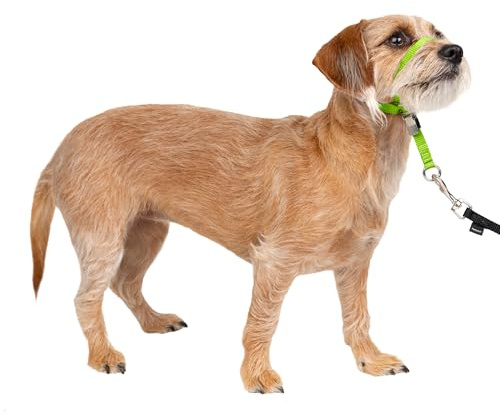 PetSafe Gentle Leader No-Pull Dog Headcollar - The Ultimate Solution to Pulling - Redirects Your Dog's Pulling for Easier Walks - Helps You Regain Control - Small, Apple Green