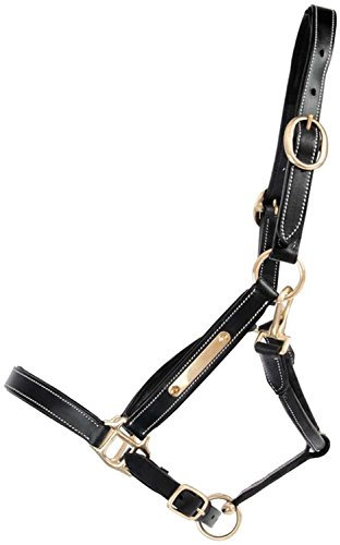 TdeT Halfter Leder mit Platte, schwarz