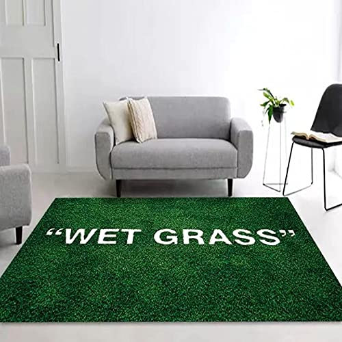ZAW Teppich Teppiche NASSES Gras Teppich Teppich Wohnzimmer Dekoration Teppich Schlafzimmer Nachtside Bucht Fensterbereich Teppiche Sofa Bodenmatte (Color : Green, Größe : 80x120cm)