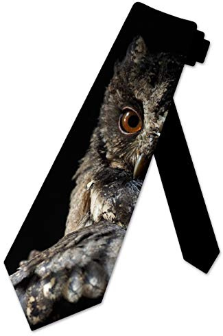 Xoovtka Eulen-Krawatte für Herren mit Tiermotiv, Siehe Abbildung, Einheitsgröße