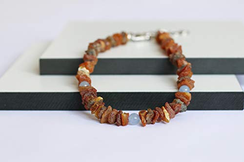 Bernsteinkette für Hunde aus Roh Baltischer Bernstein mit Blaue Jade verziert | Zeckenhalsband | Bernstein Gegen Zecken | Zecken und Flohschutz Halsband (20-25 cm)