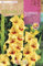 Peyca Bulbo de flor variedad Gladiolo Jester 10 unidades - Rocalba