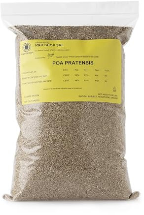 R&R SHOP - Semi Per Prato, Poa Pratensis, Autorigenerante E Resistente (500gr - 20mq)